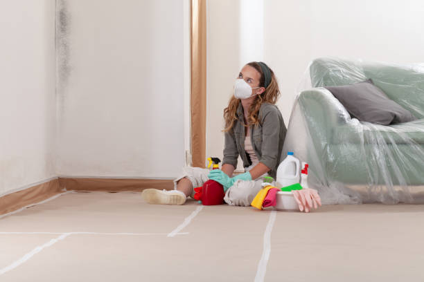 Reliable Black Mold Removal contractor in Clifton, IL by WQB Mold Removal